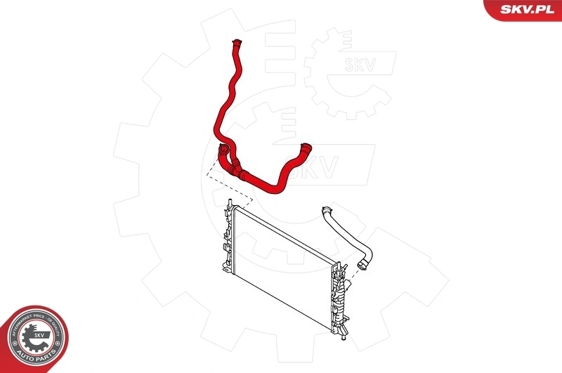 Radiator Hose